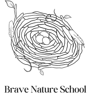 Brave Nature School 